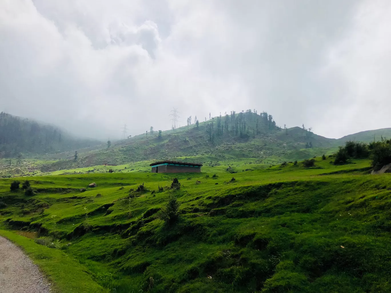 Photo of Patnitop/ sanasar lake By Tarun