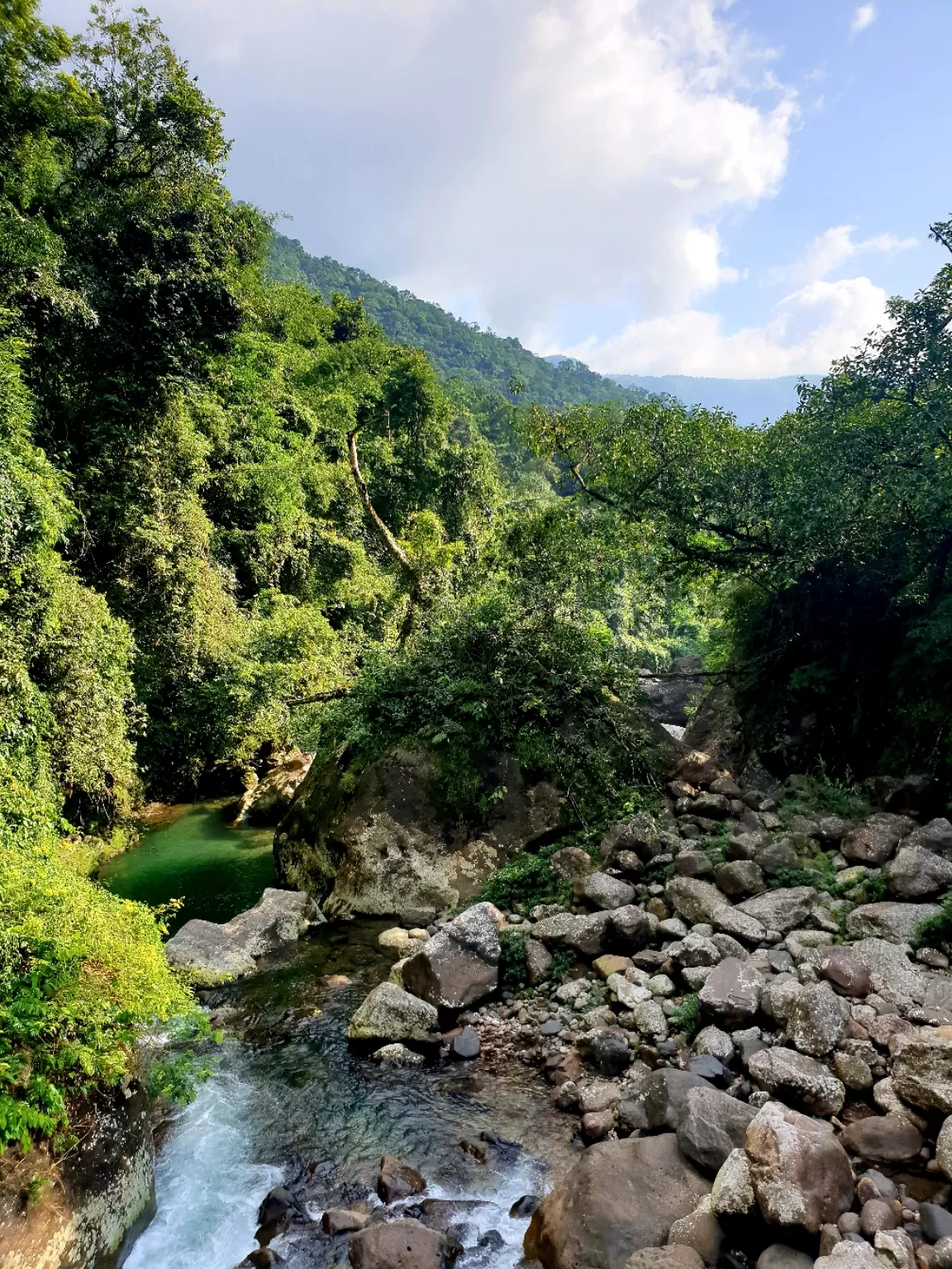 Photo of Double Decker Living Root Bridge By Ajit Sharma