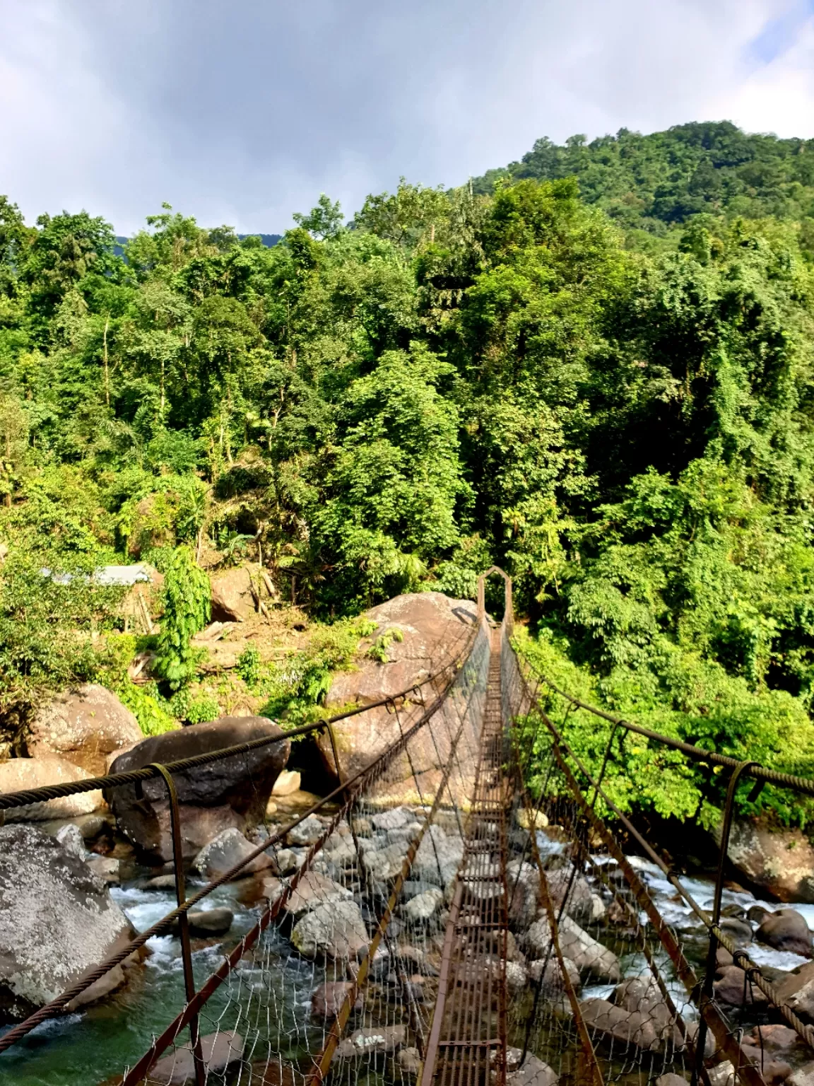 Photo of Double Decker Living Root Bridge By Ajit Sharma