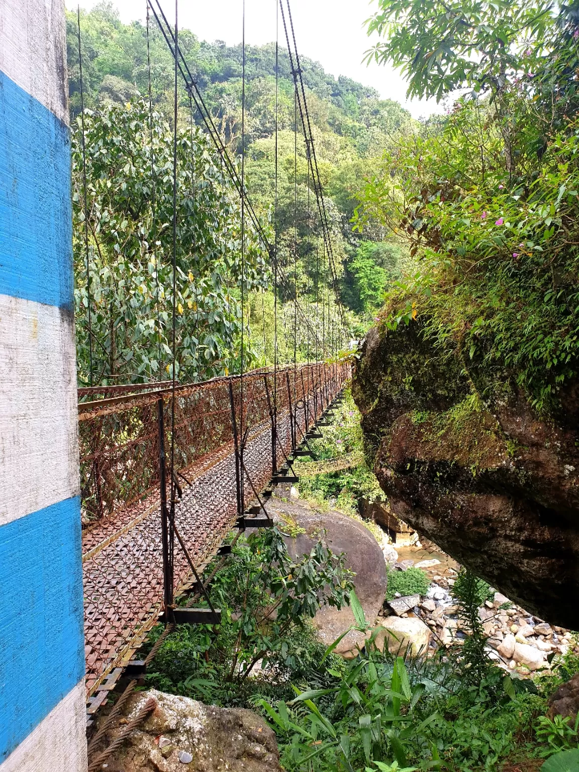 Photo of Double Decker Living Root Bridge By Ajit Sharma