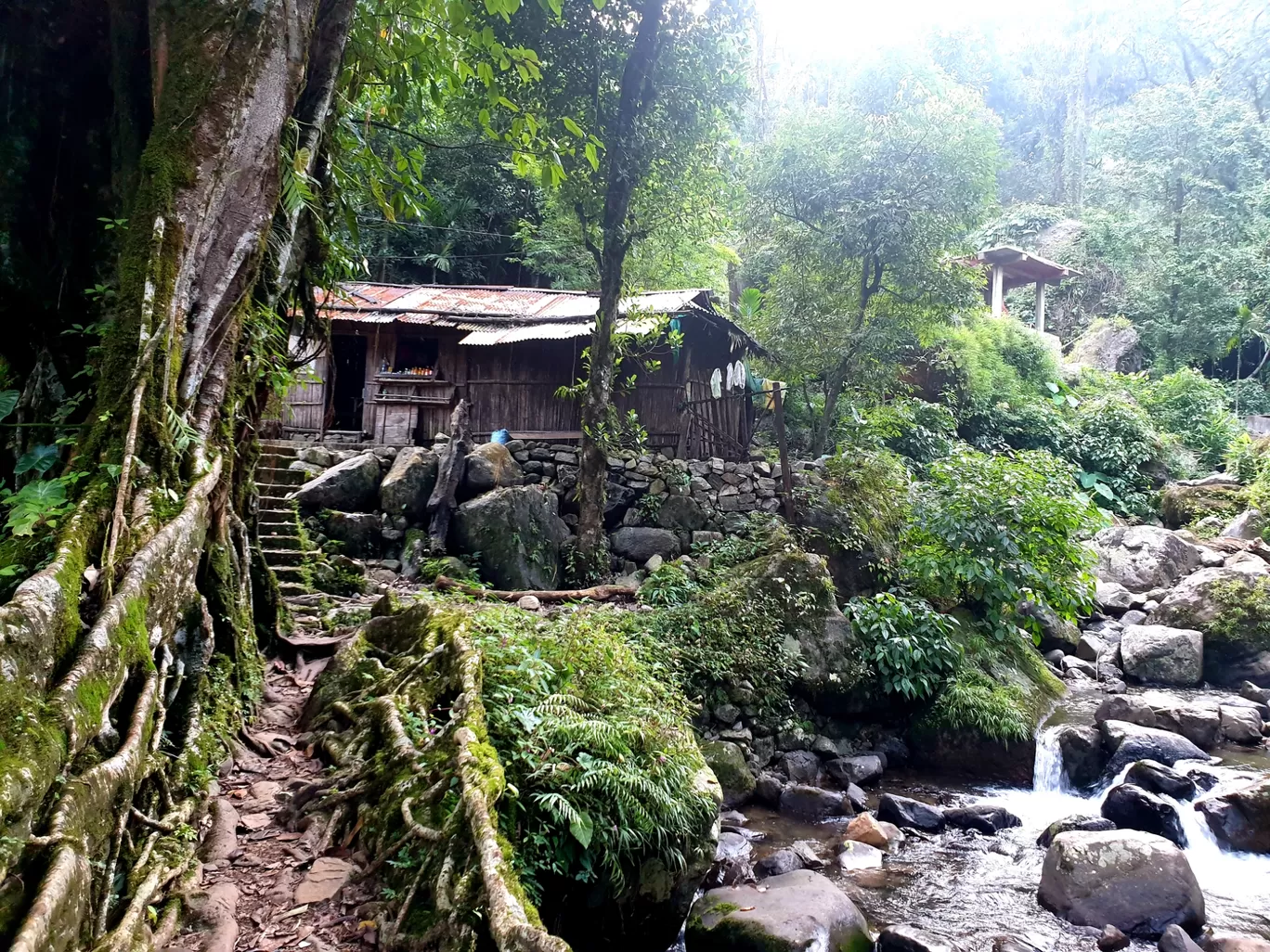 Photo of Double Decker Living Root Bridge By Ajit Sharma