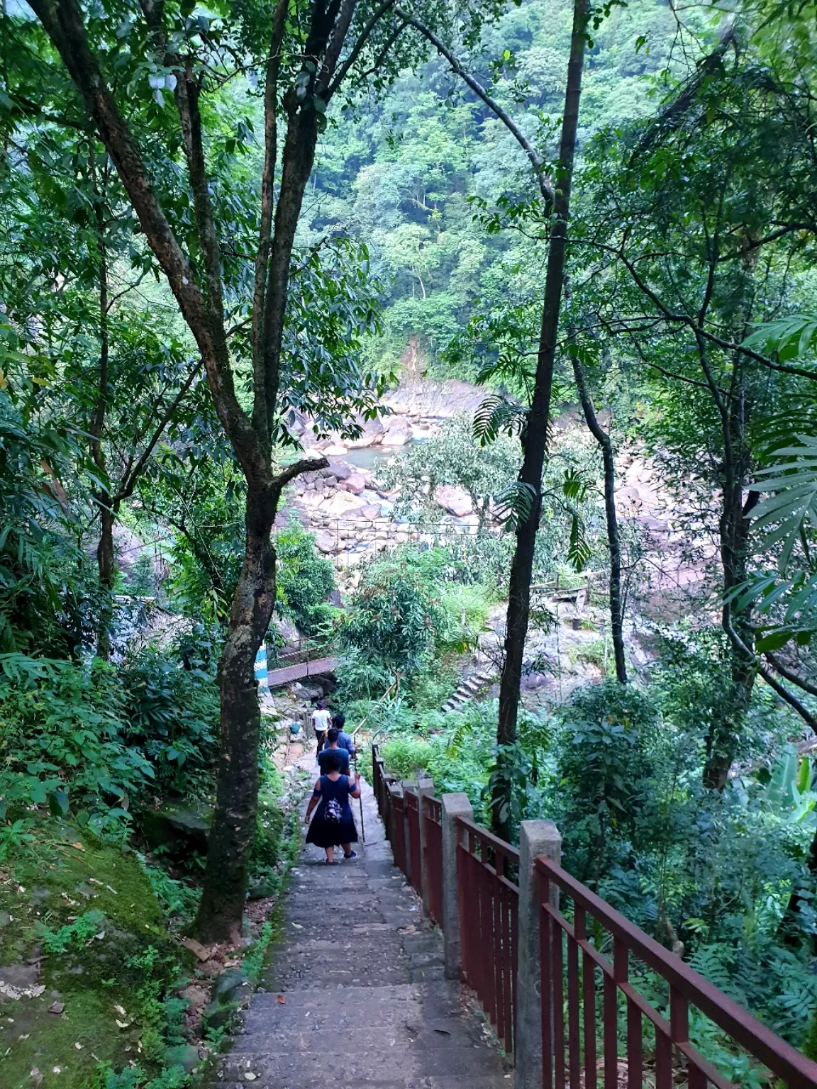 Photo of Double Decker Living Root Bridge By Ajit Sharma