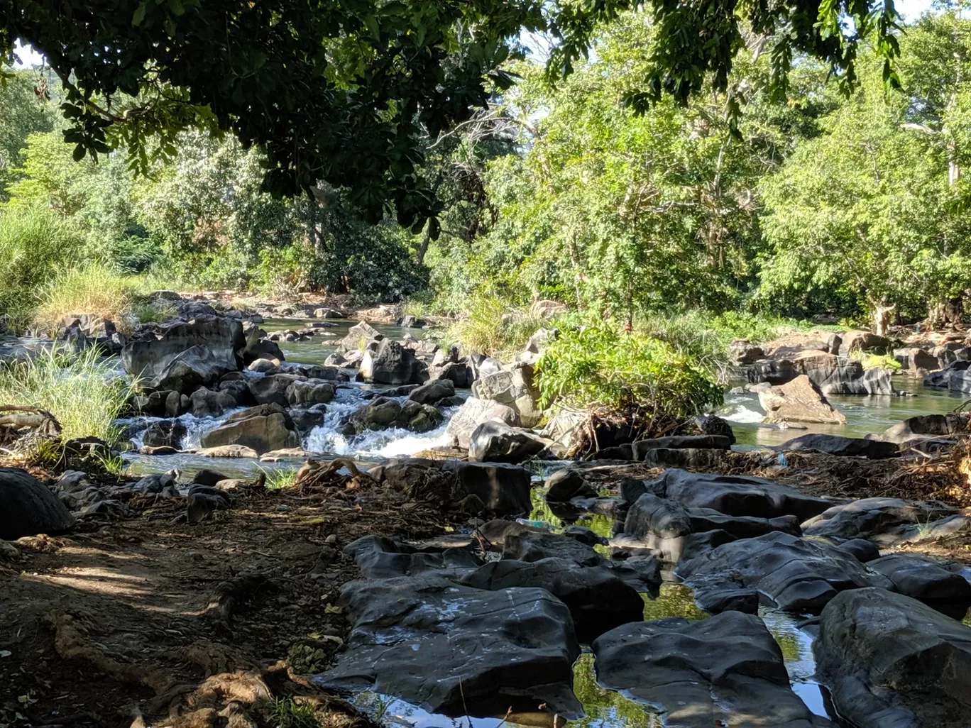 Photo of Hogenakkal By Anil Soren