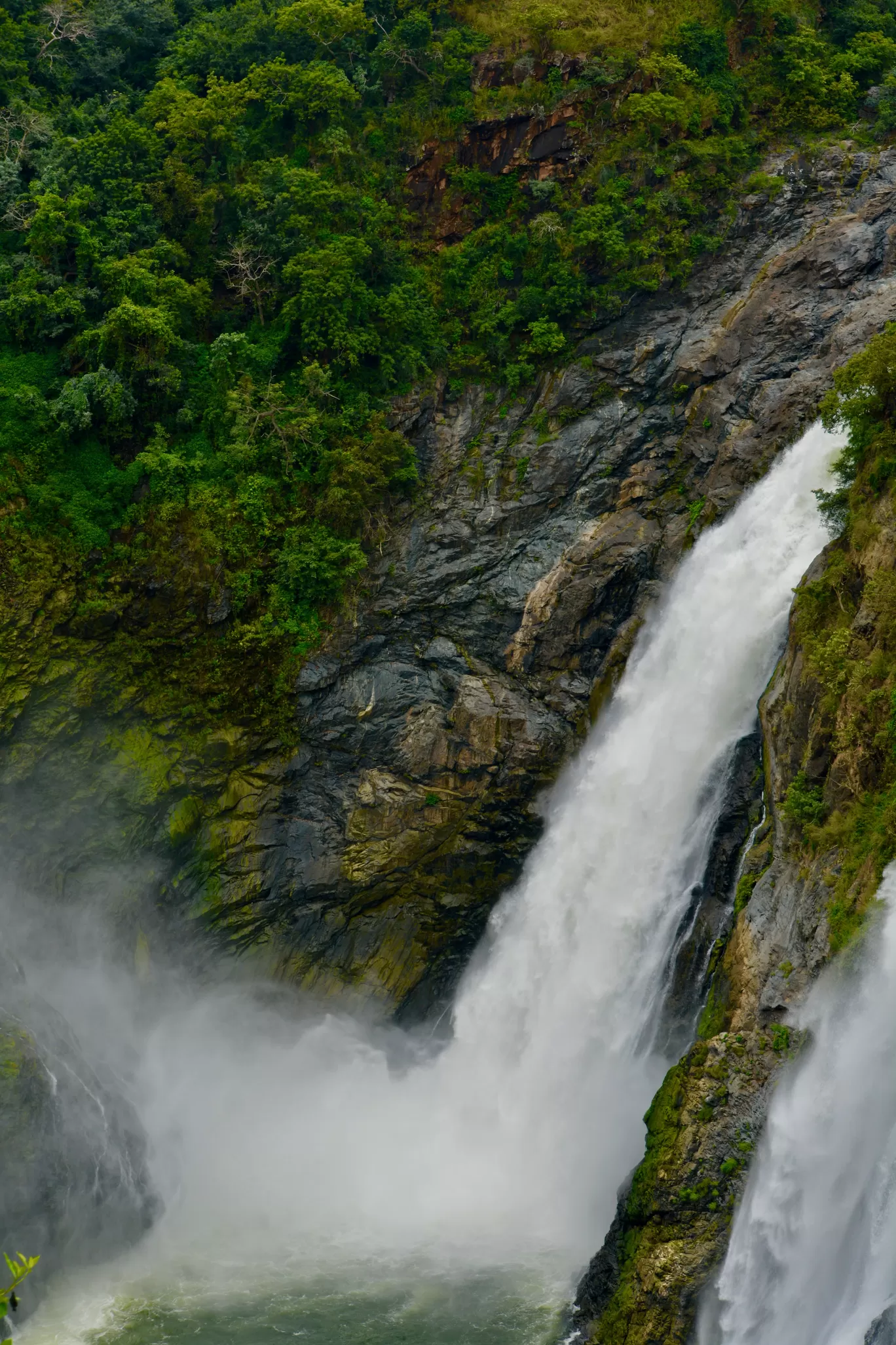 Photo of Shivanasamudra By Shashank Desai