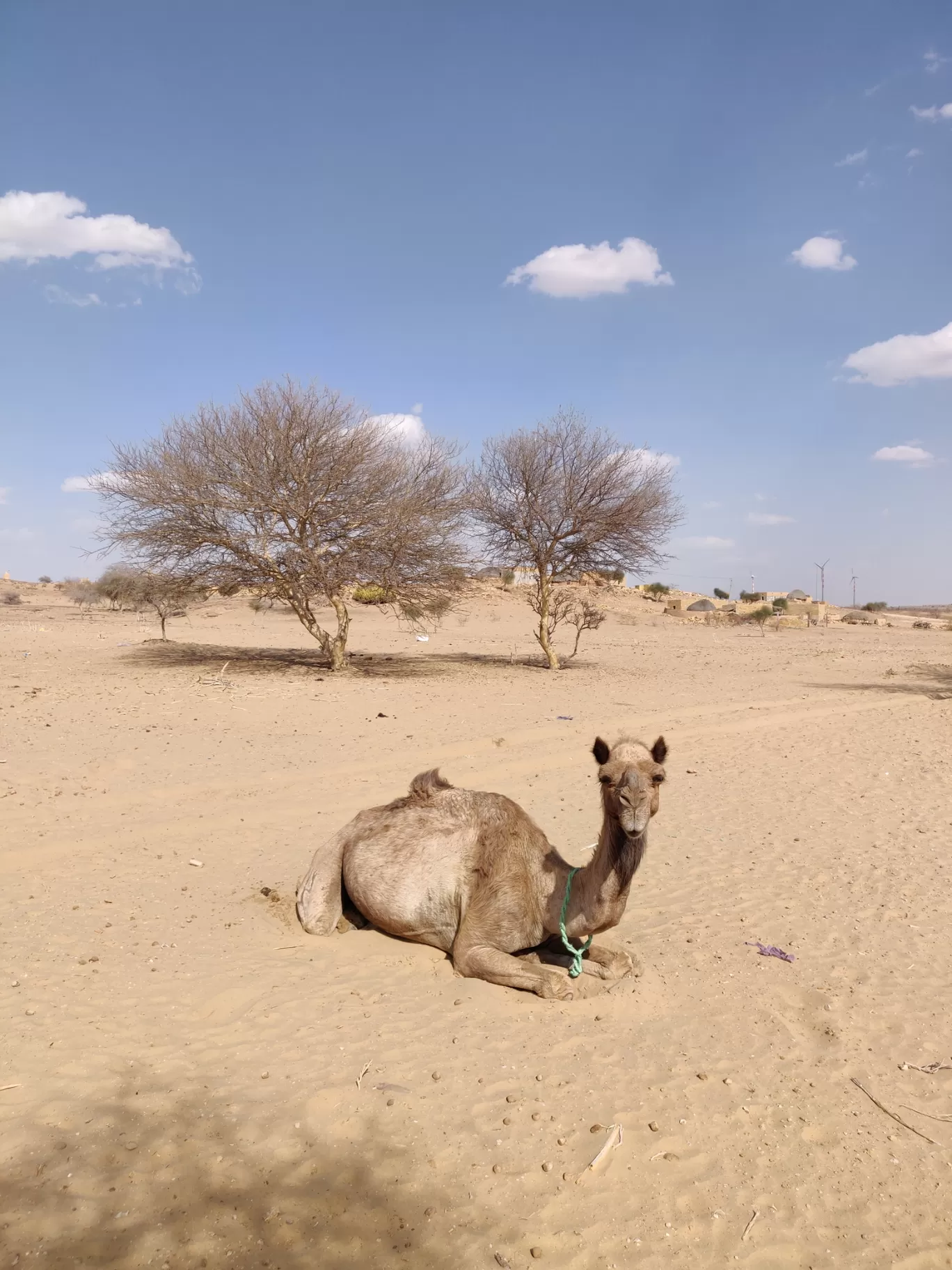 Photo of Jaisalmer By hugthebackpack