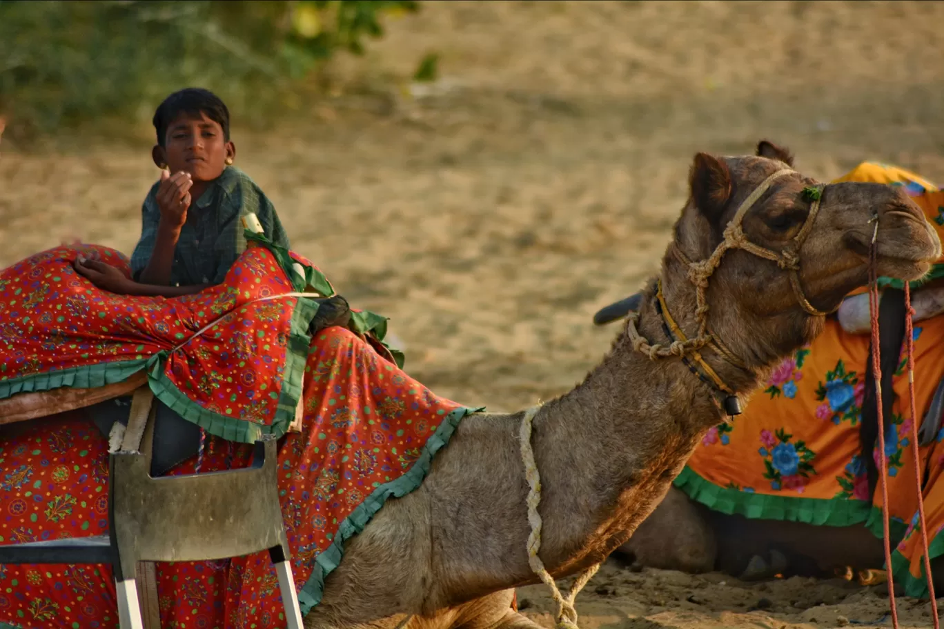 Photo of Rajasthan By Guchhi Sharma