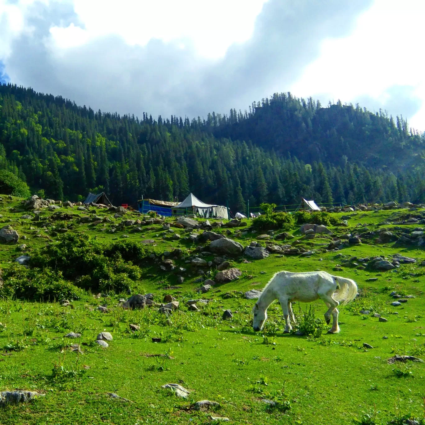 Photo of Kasol By Guchhi Sharma