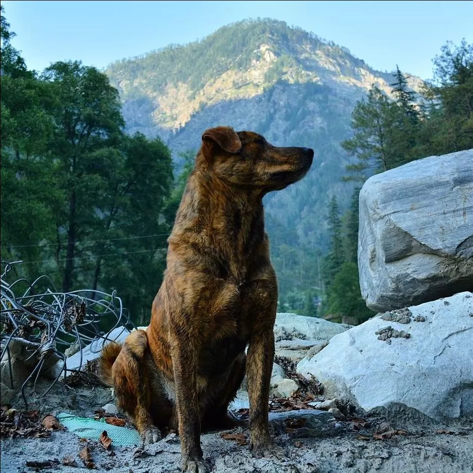 Photo of Kasol By Guchhi Sharma