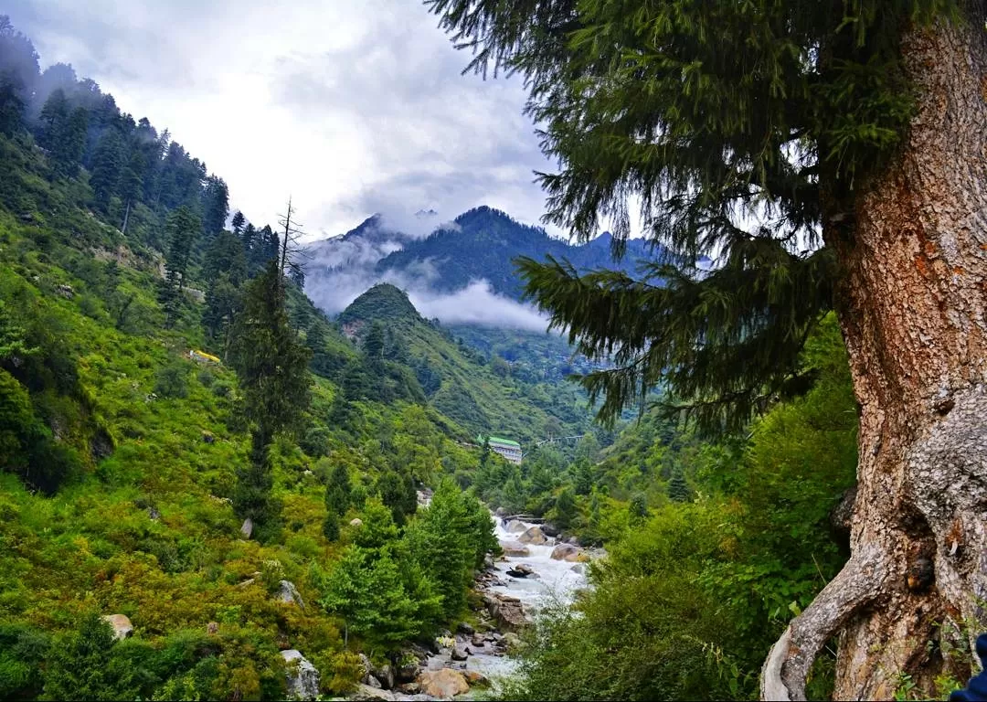 Photo of #TripotoClicksHimalayas By Hitesh Dubey