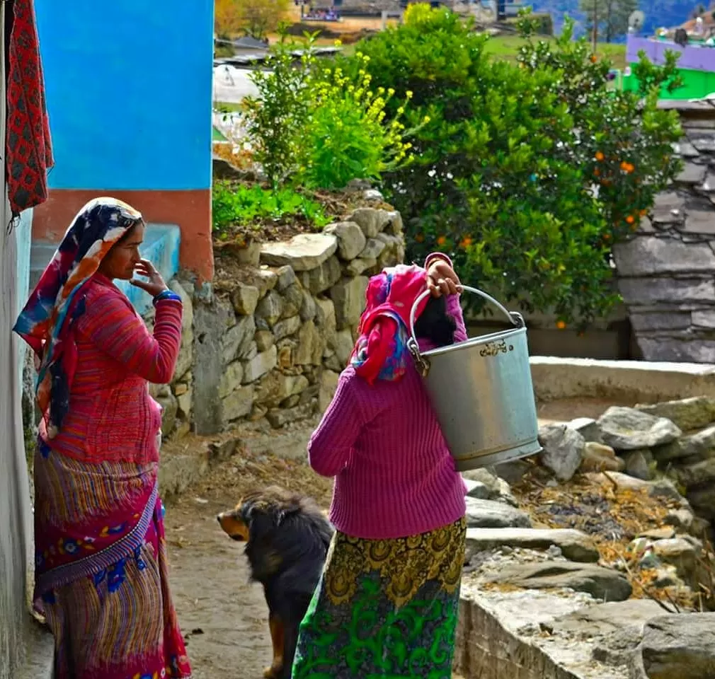 Photo of #TripotoClicksHimalayas By Hitesh Dubey