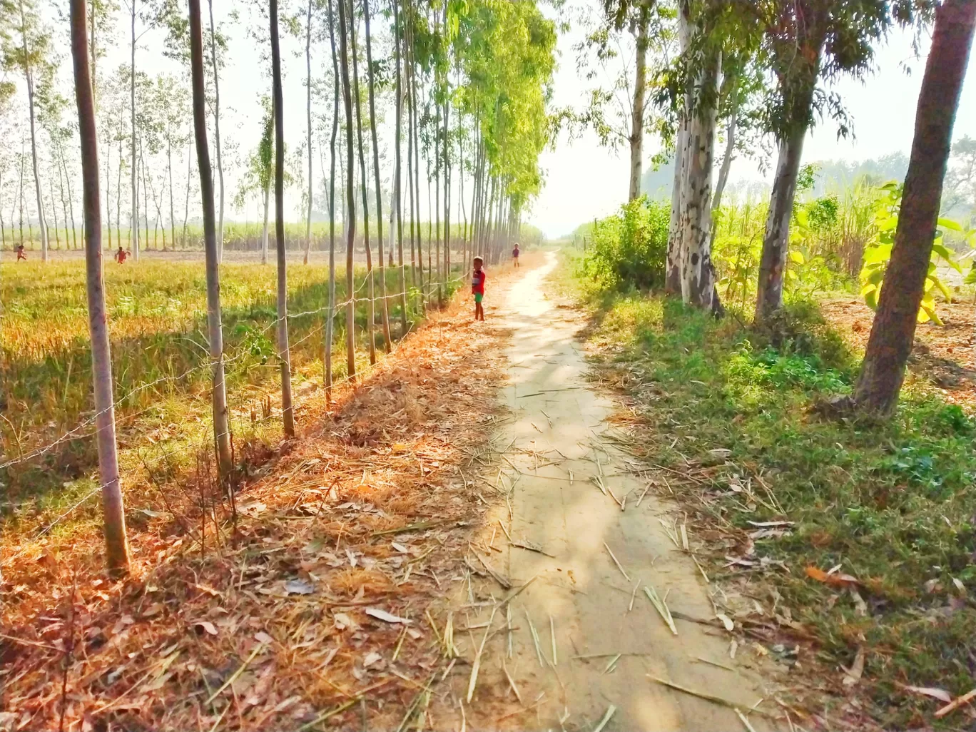 Photo of Lakhimpur By Ashutosh verma