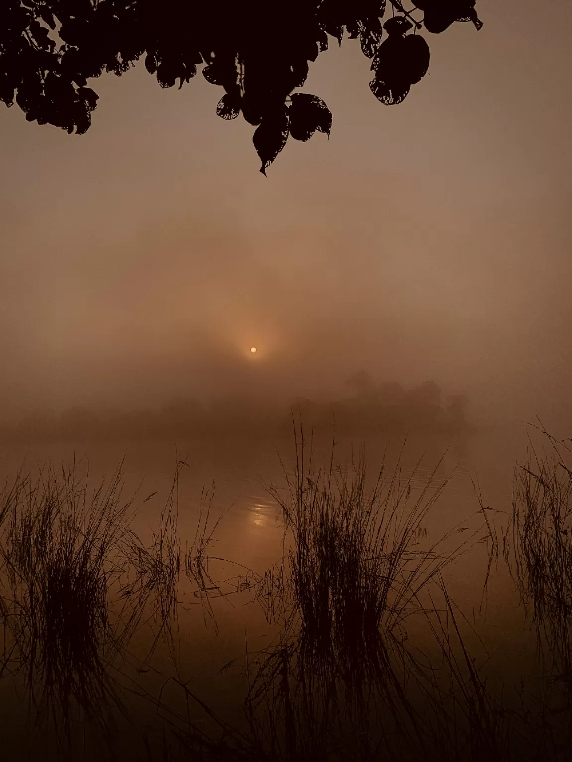 Photo of Warangal By Sangeet Rao