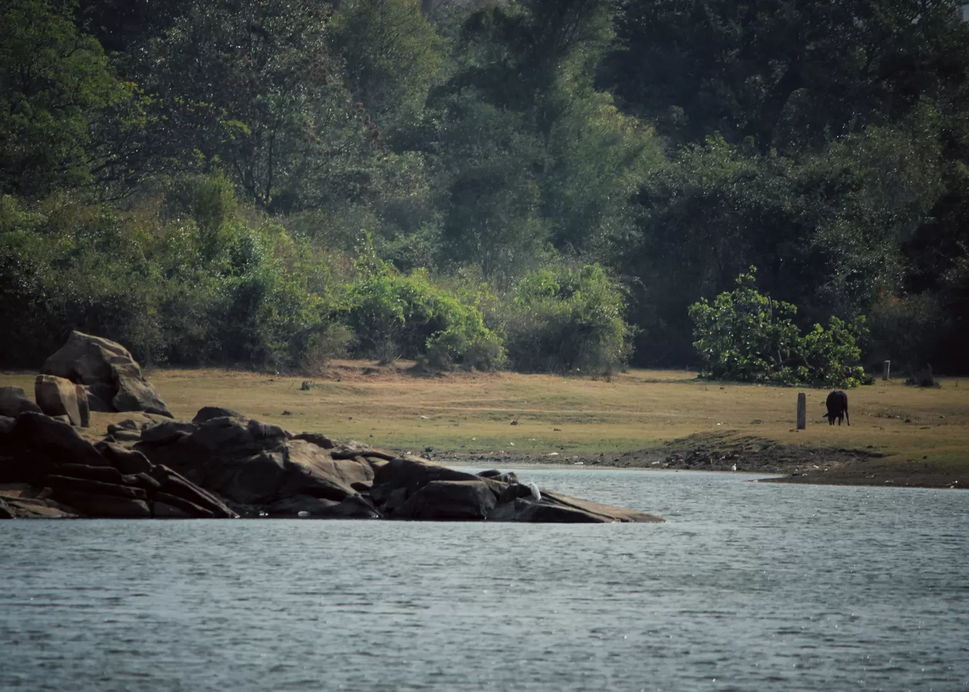 Photo of Dandiganahalli By Mukesh Das