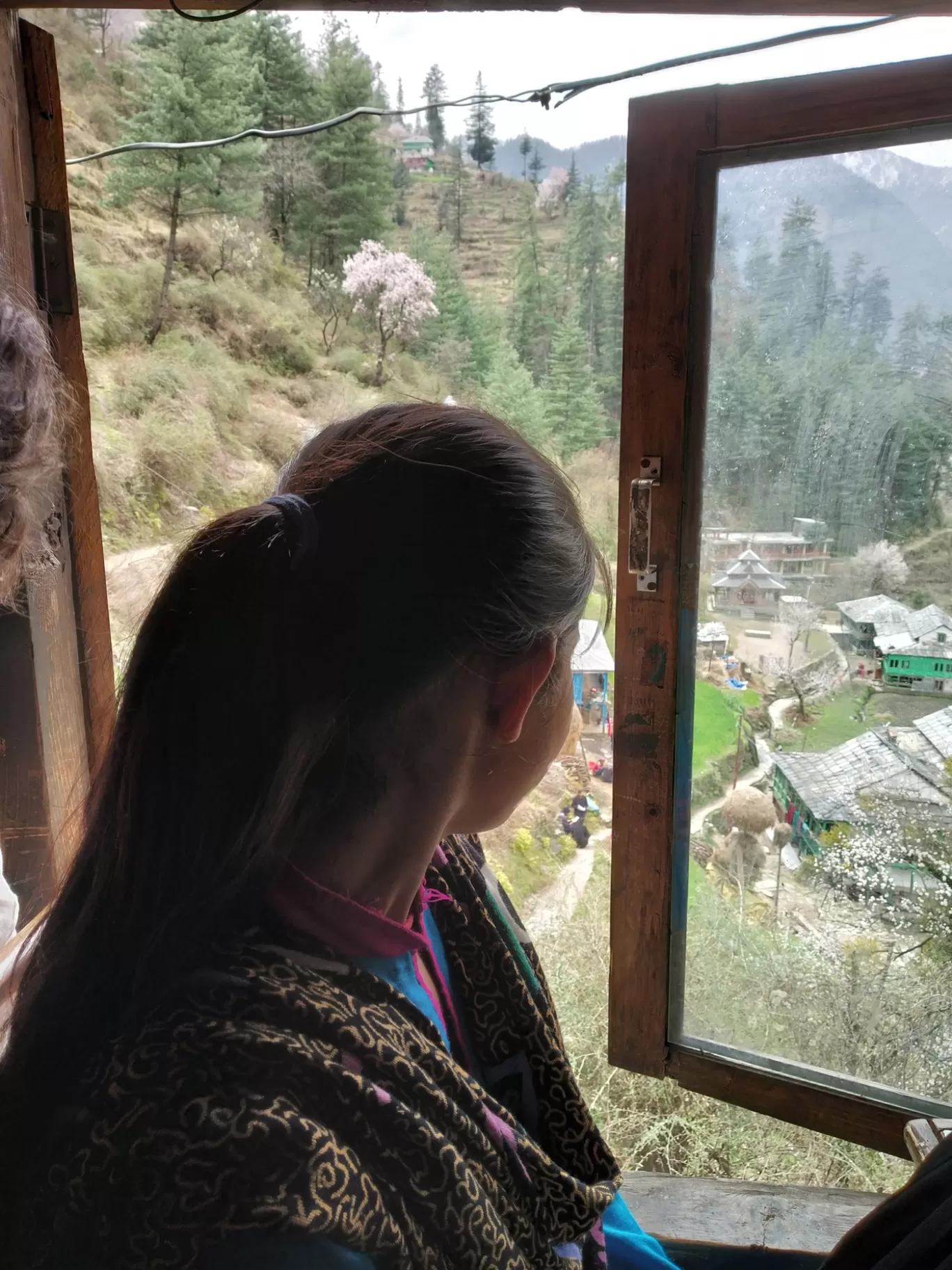 Photo of Gushaini By Kedarnath Angadi