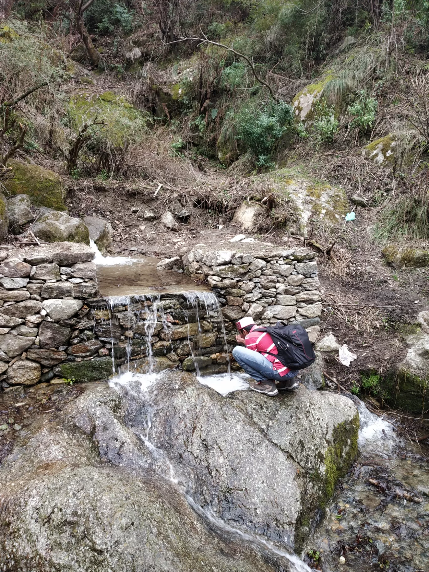 Photo of Gushaini By Kedarnath Angadi