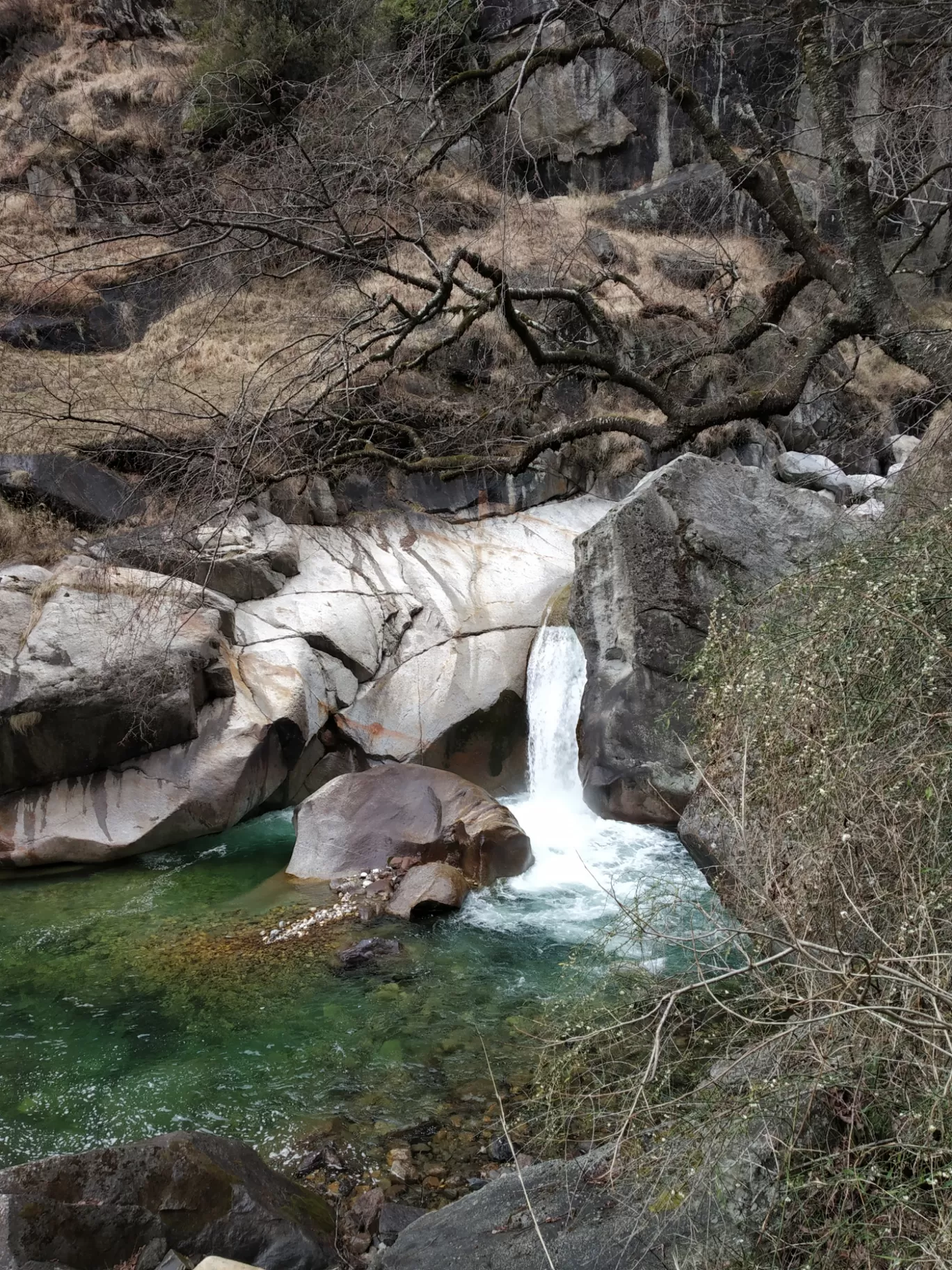 Photo of Gushaini By Kedarnath Angadi