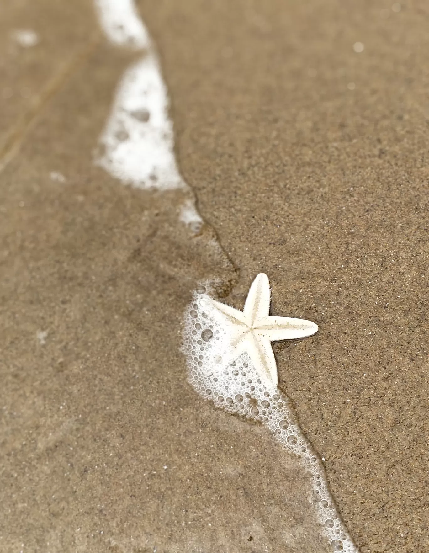 Photo of Rabindranath Tagore Beach By Bhakti Prabhu