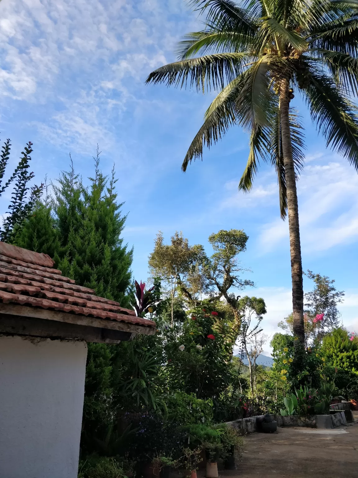 Photo of Blue Mountains Estate Stay By Bhakti Prabhu