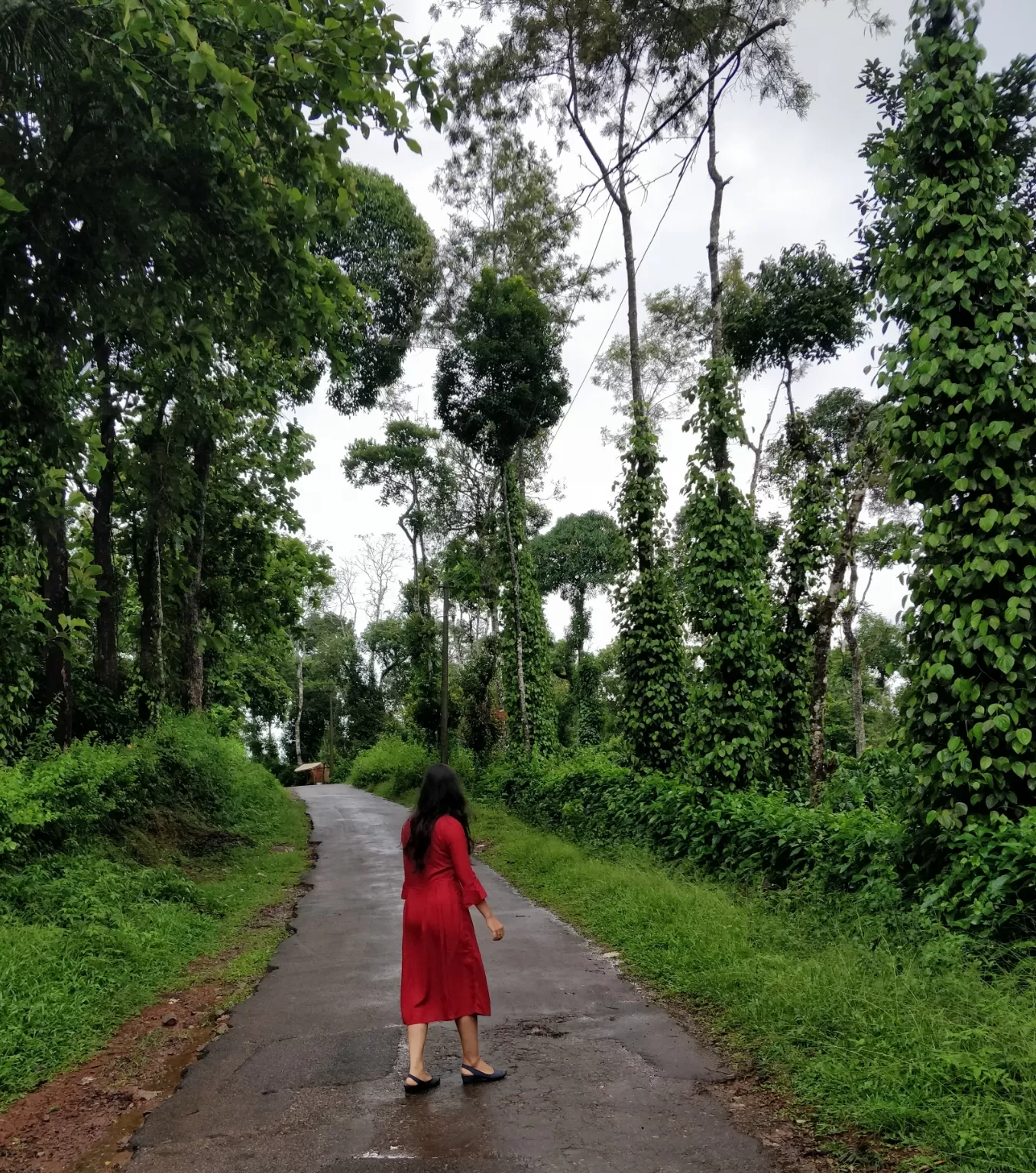 Photo of Blue Mountains Estate Stay By Bhakti Prabhu