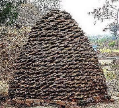 Photo of Barsana By Mukul Sharma