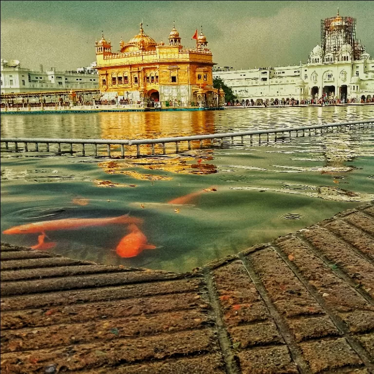 Photo of Amritsar By Deepak singh