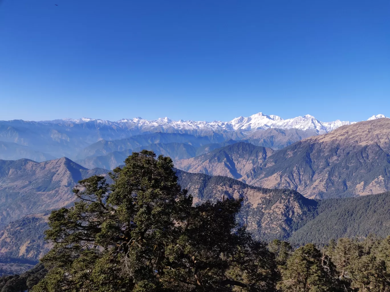 Photo of Chandrashila By RISHI RJPT