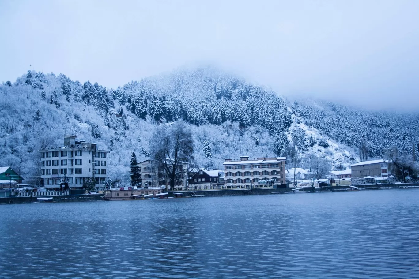 Photo of Gulmarg By Manika Mani