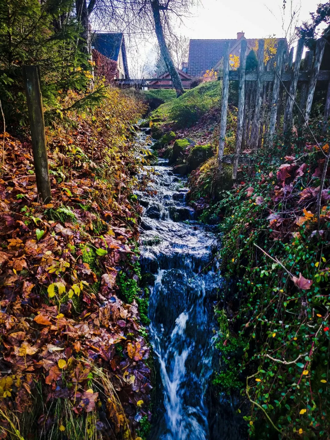 Photo of Hinterzarten By letsflipflop