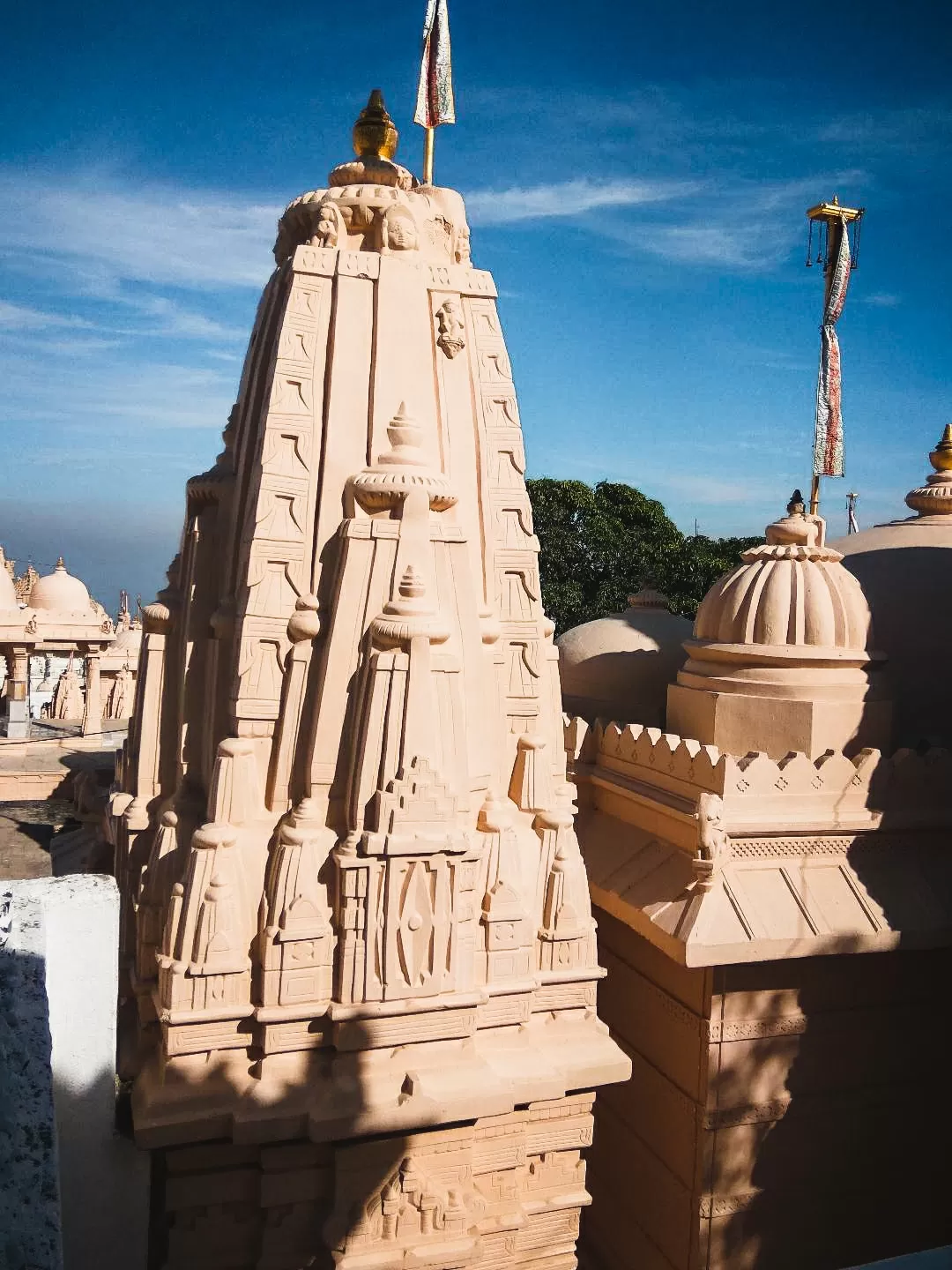 Photo of Palitana Jain Tirth Temple By letsflipflop