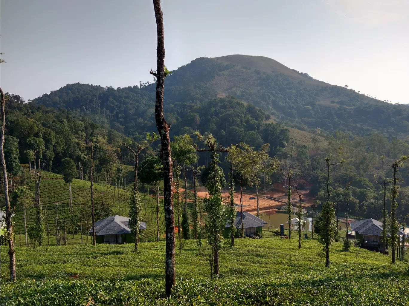 Photo of Wild Planet Jungle Resort By Naveen Venkat