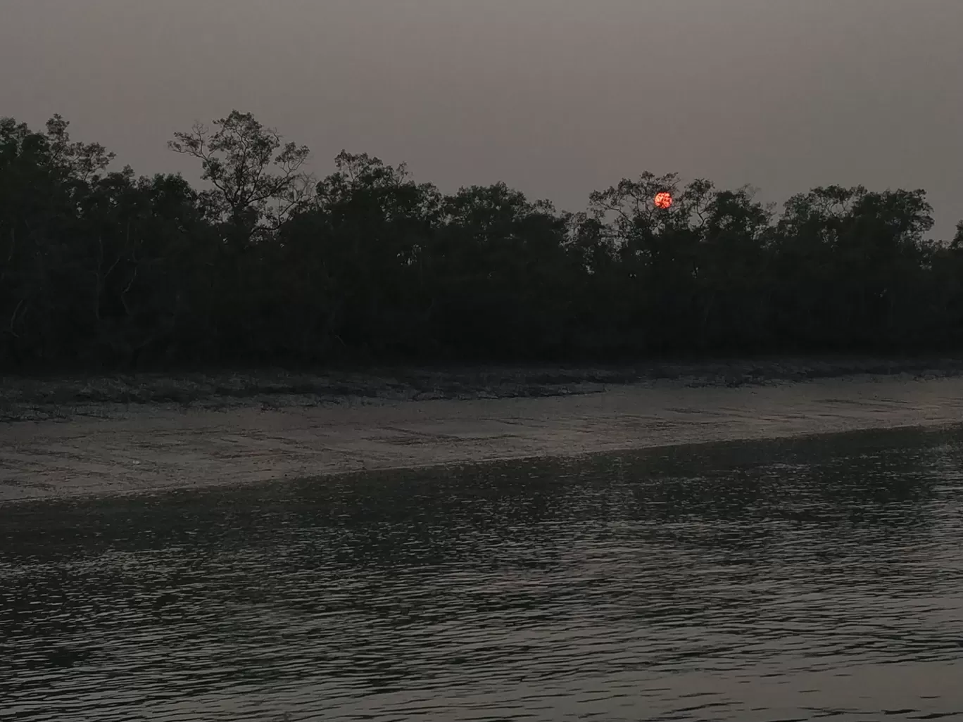 Photo of Sundarban By Srijita Kundu
