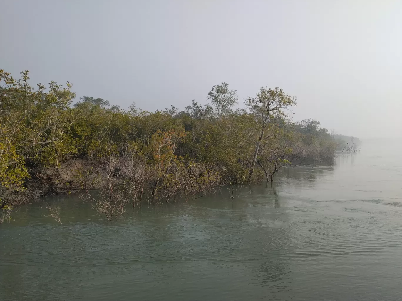 Photo of Sundarban By Srijita Kundu