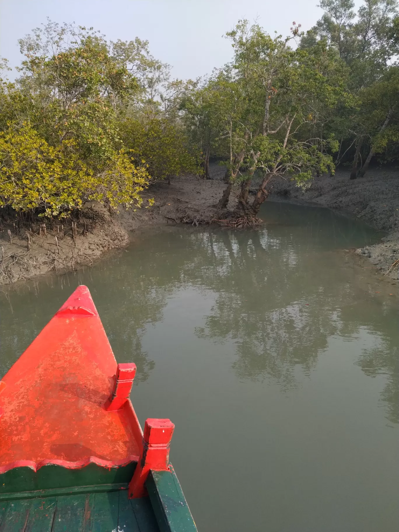 Photo of Sundarban By Srijita Kundu