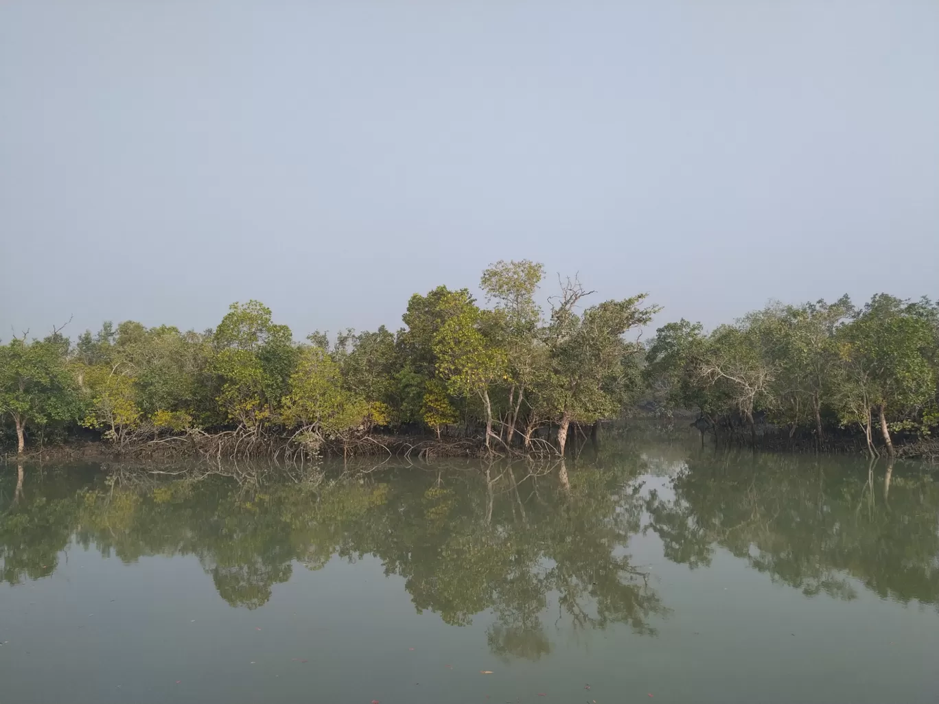 Photo of Sundarban By Srijita Kundu