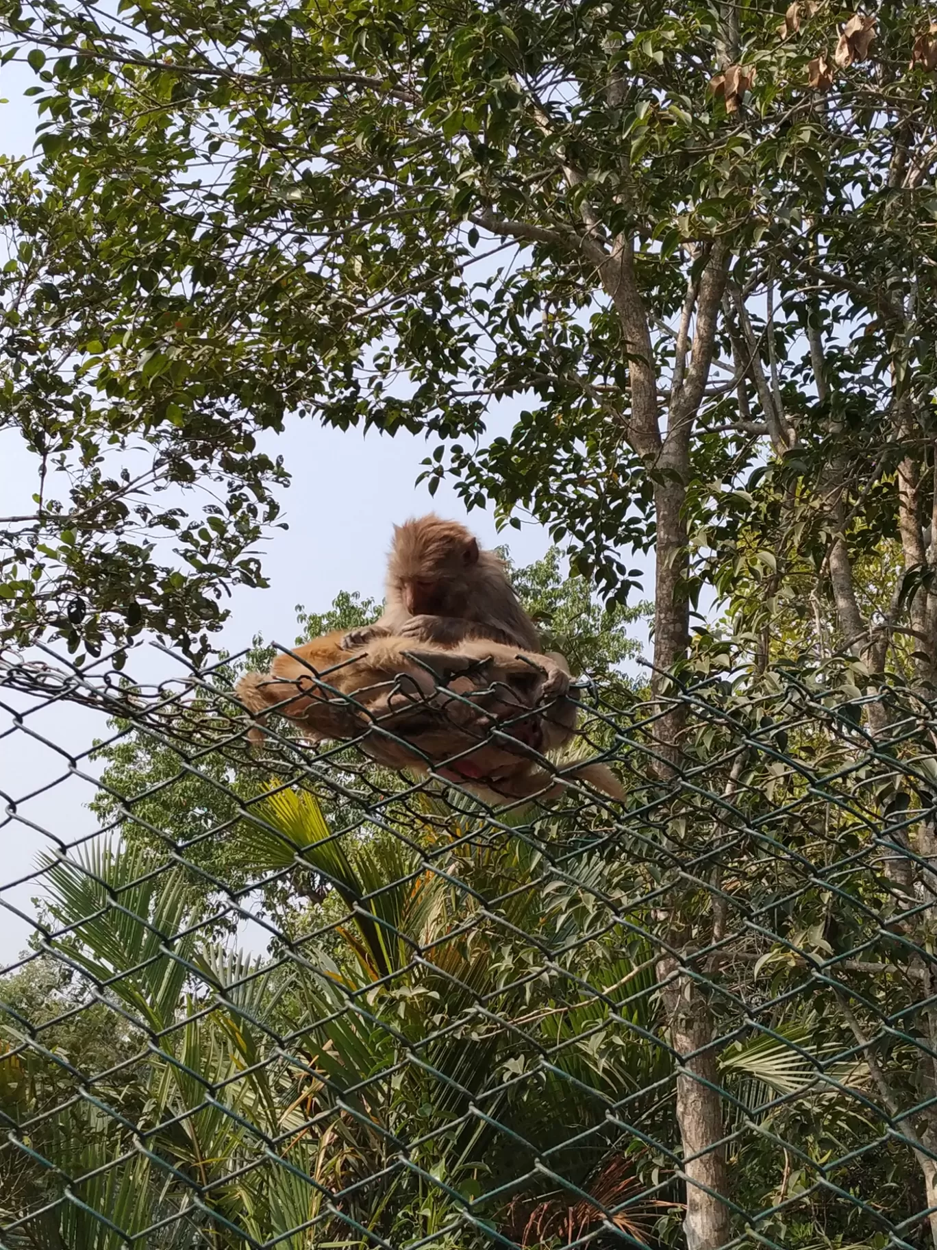 Photo of Sundarban By Srijita Kundu