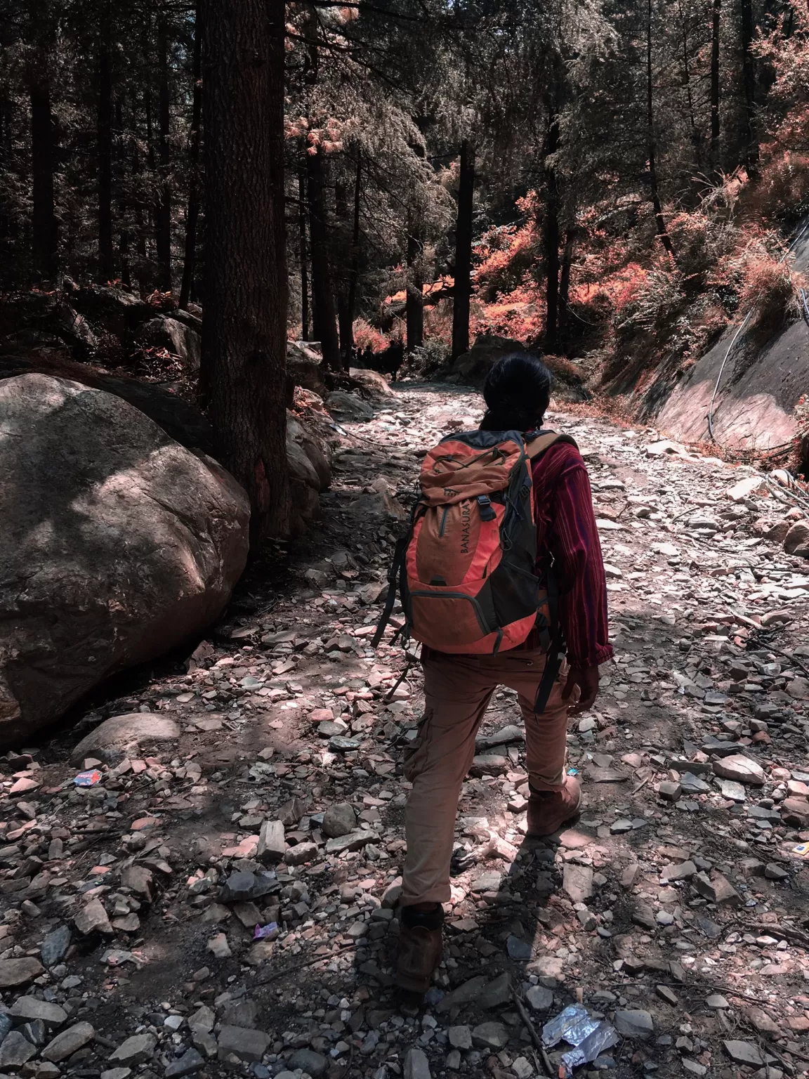 Photo of Unplanned 300 Days Of Backpacking Across India By Arjun Anilkumar