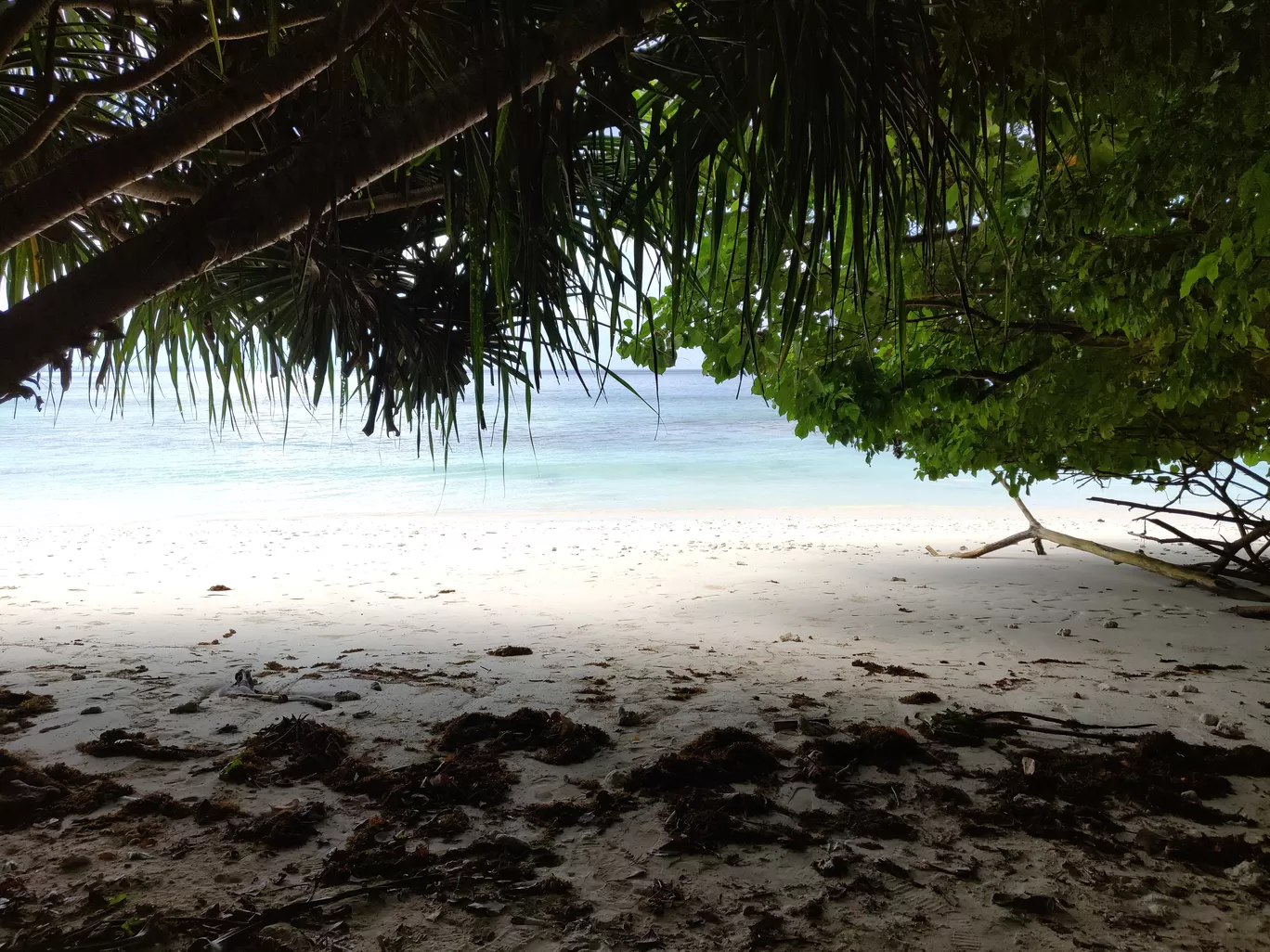 Photo of Andaman and Nicobar Islands By Santoshi Pal