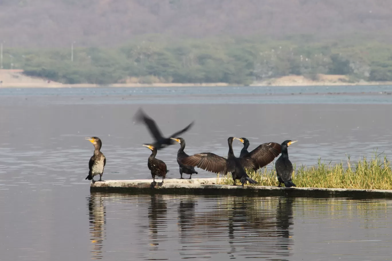 Photo of Jaipur By Sharun Masih