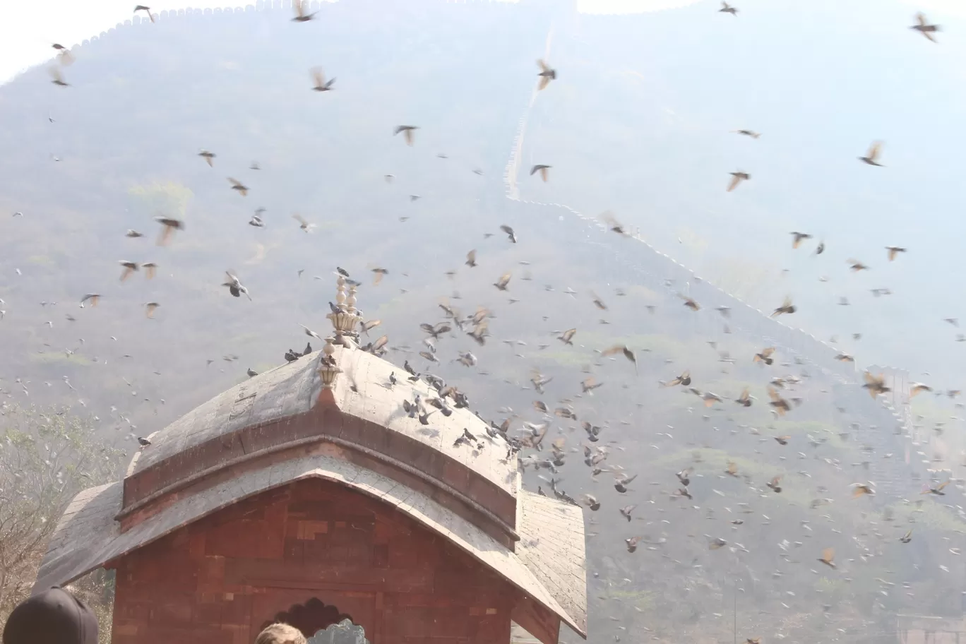 Photo of Jaipur By Sharun Masih