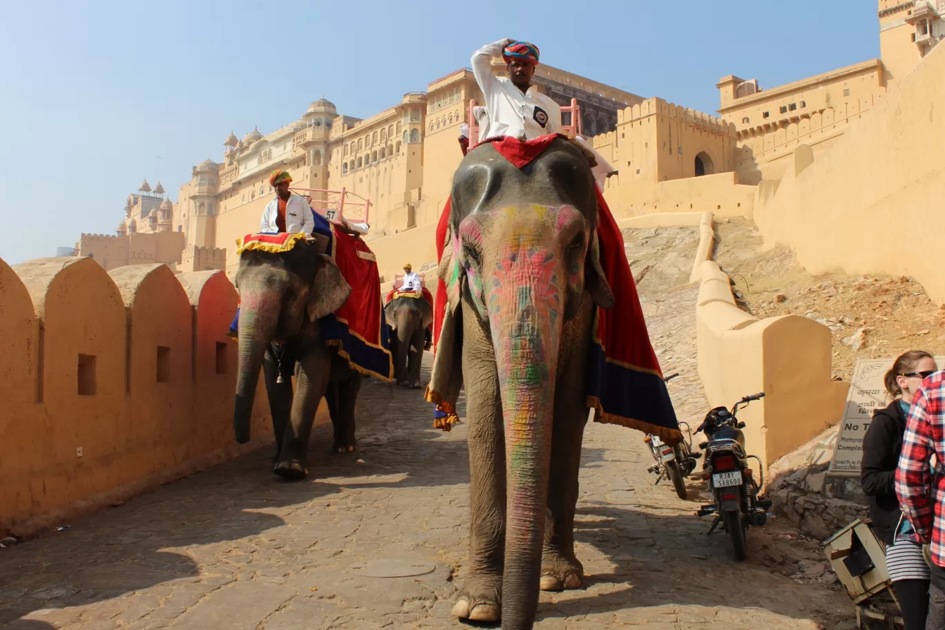 Photo of Jaipur By Sharun Masih