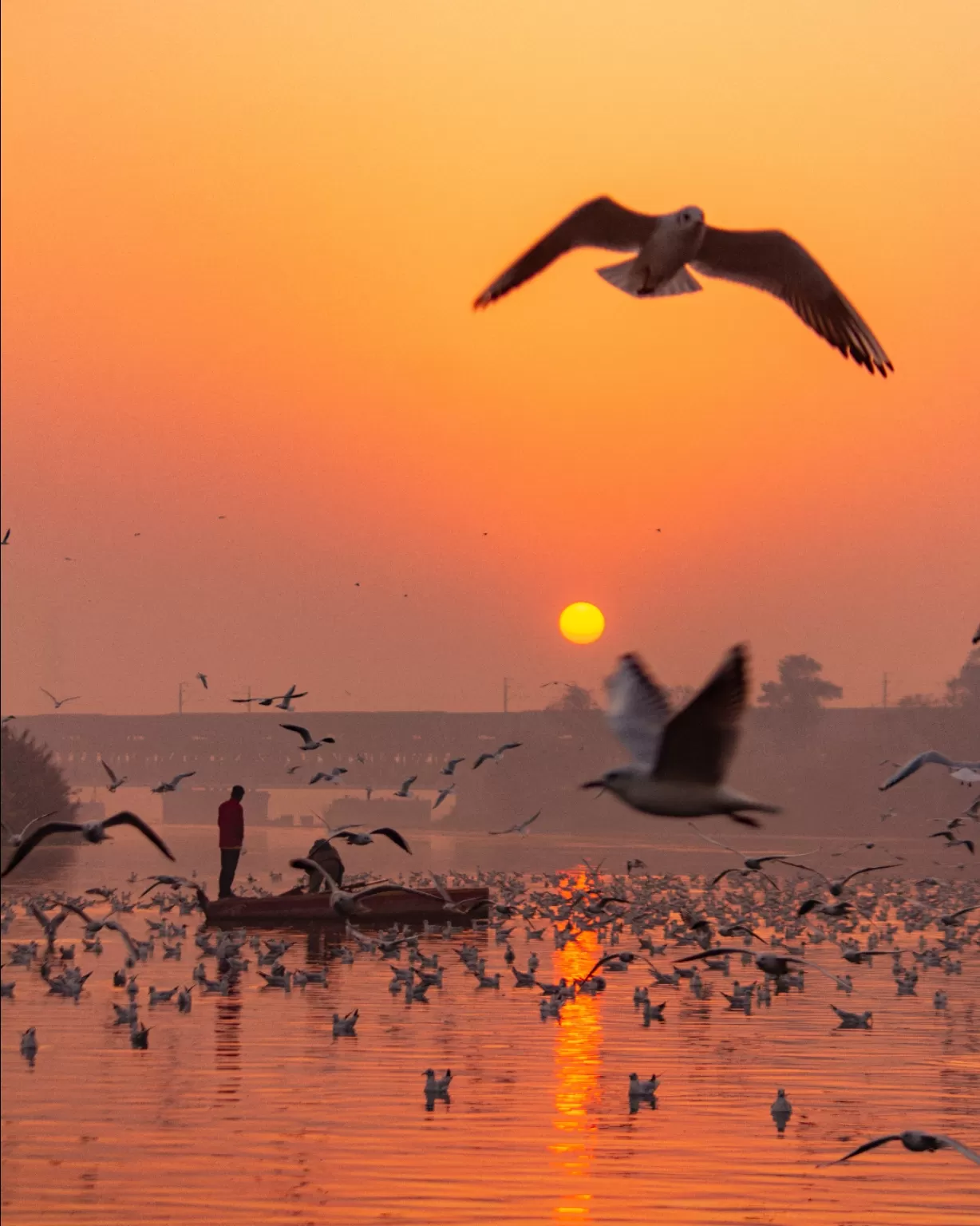 Photo of Yamuna Ghat By Star Udyawar