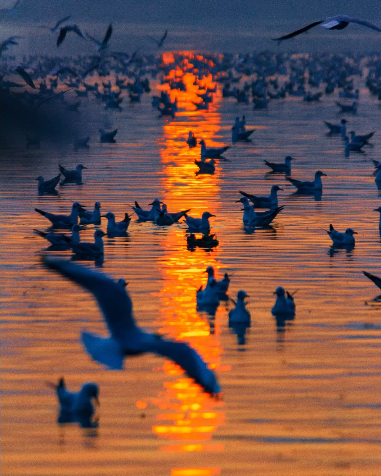 Photo of Yamuna Ghat By Star Udyawar