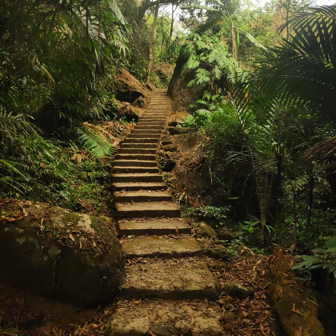 Photo of Meghalaya By Bhuvana Paanchazanya