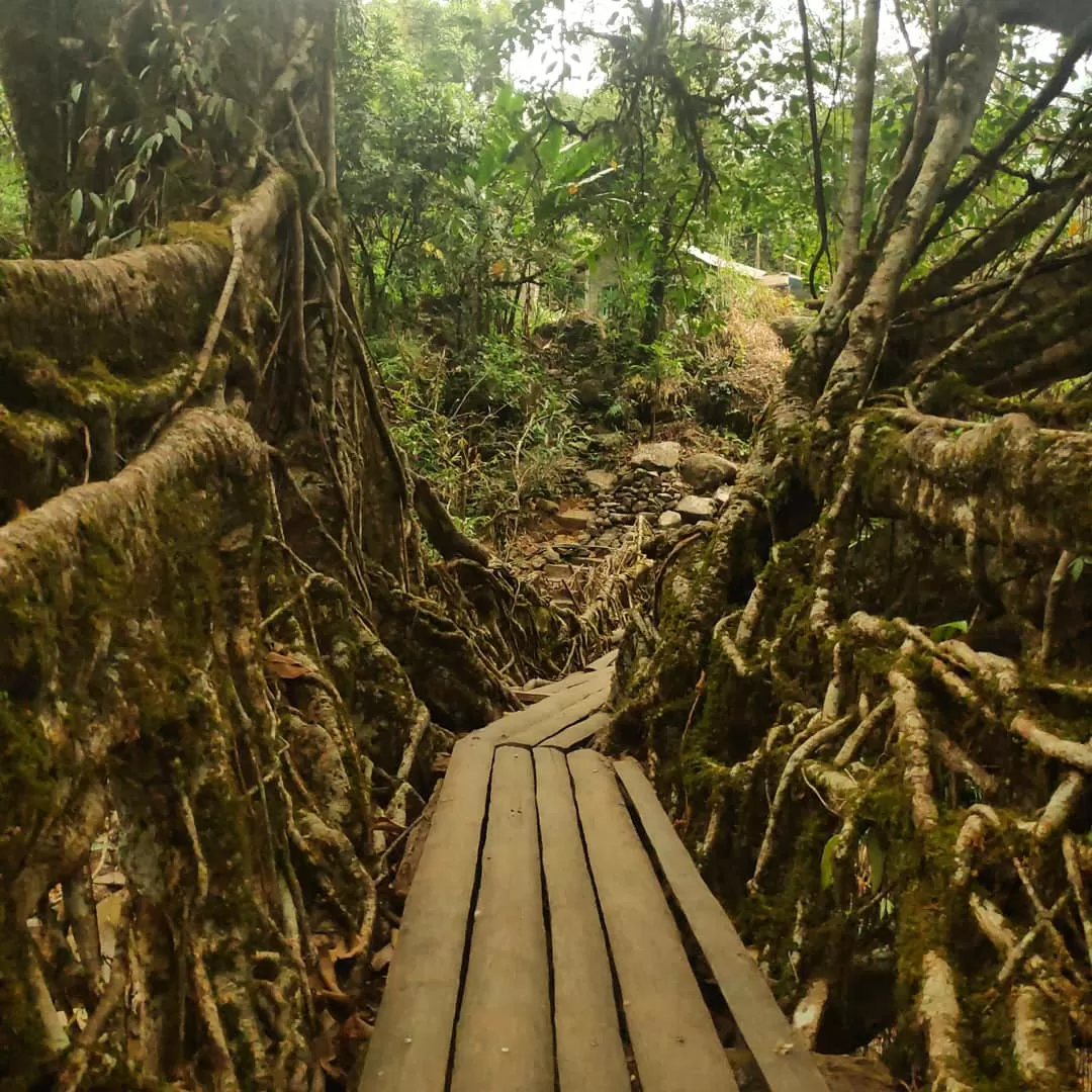 Photo of Meghalaya By Bhuvana Paanchazanya