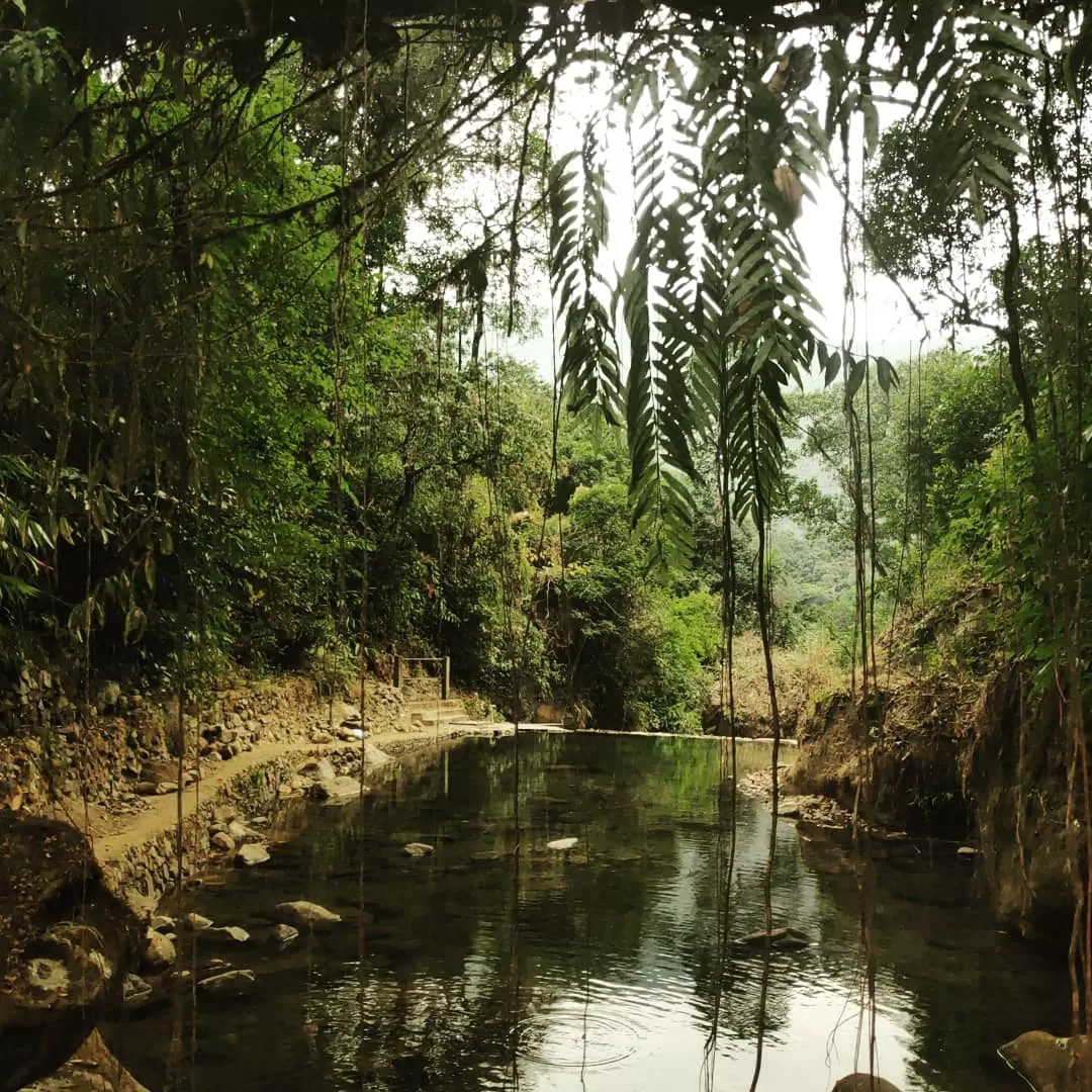 Photo of Meghalaya By Bhuvana Paanchazanya