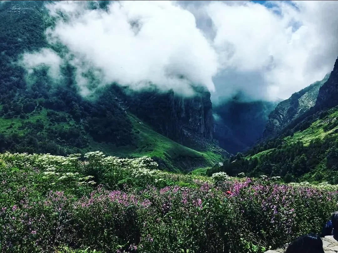 Photo of Himalayas By Medha Kapoor