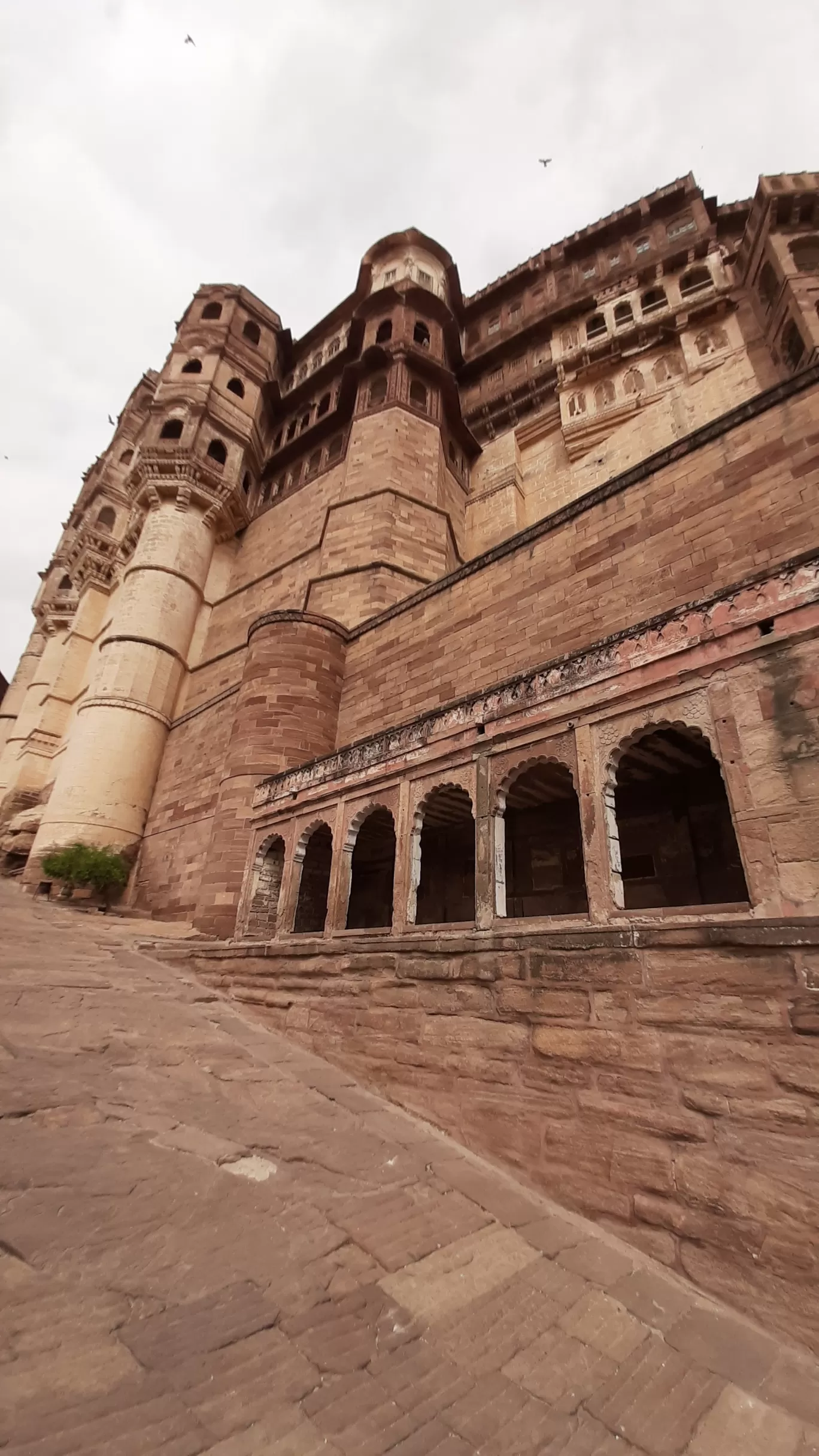 Photo of Jodhpur By Vaidika Saxena