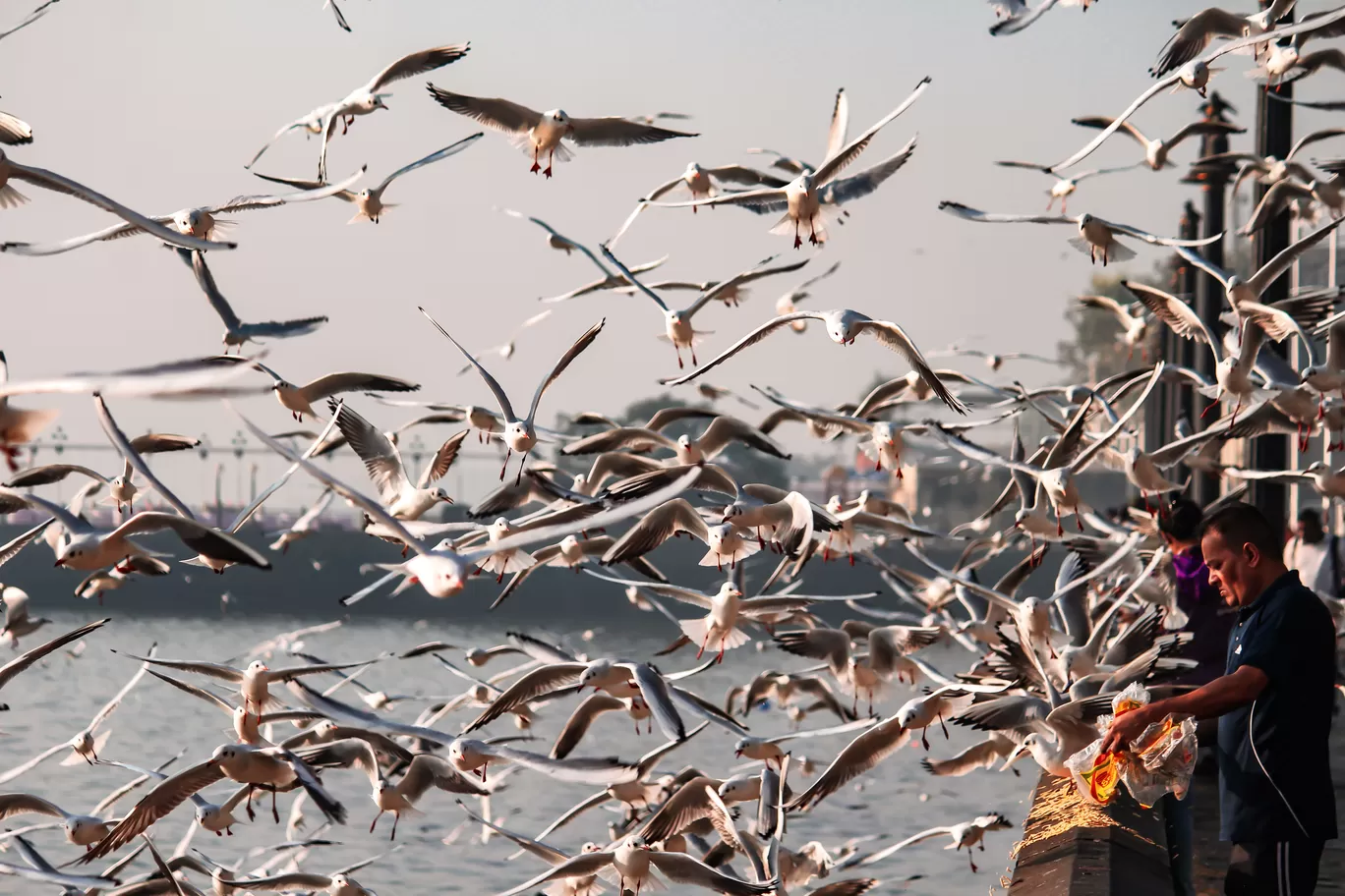 Photo of Gateway Of India Mumbai By Tasneem Bharmal