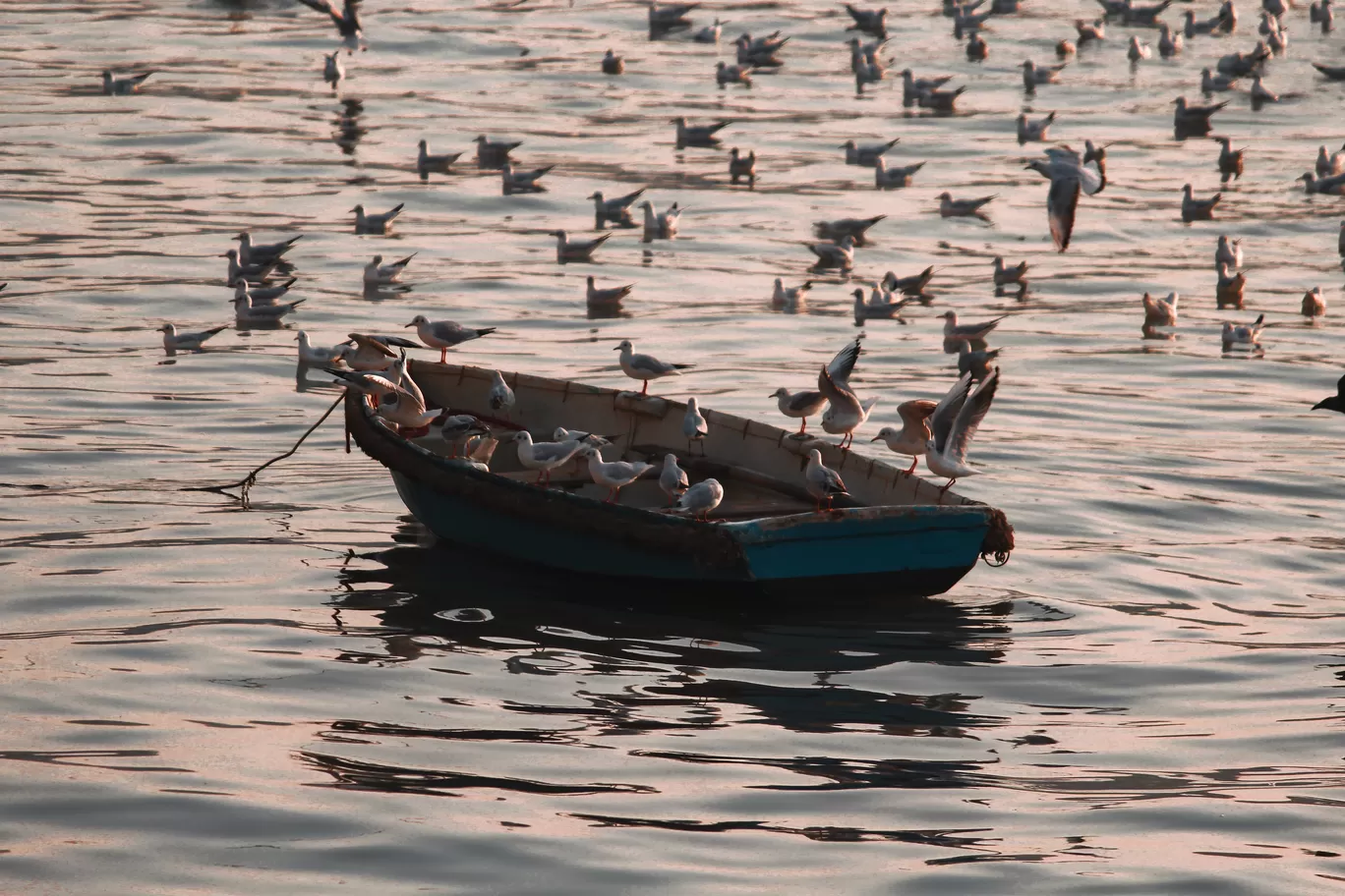 Photo of Gateway Of India Mumbai By Tasneem Bharmal