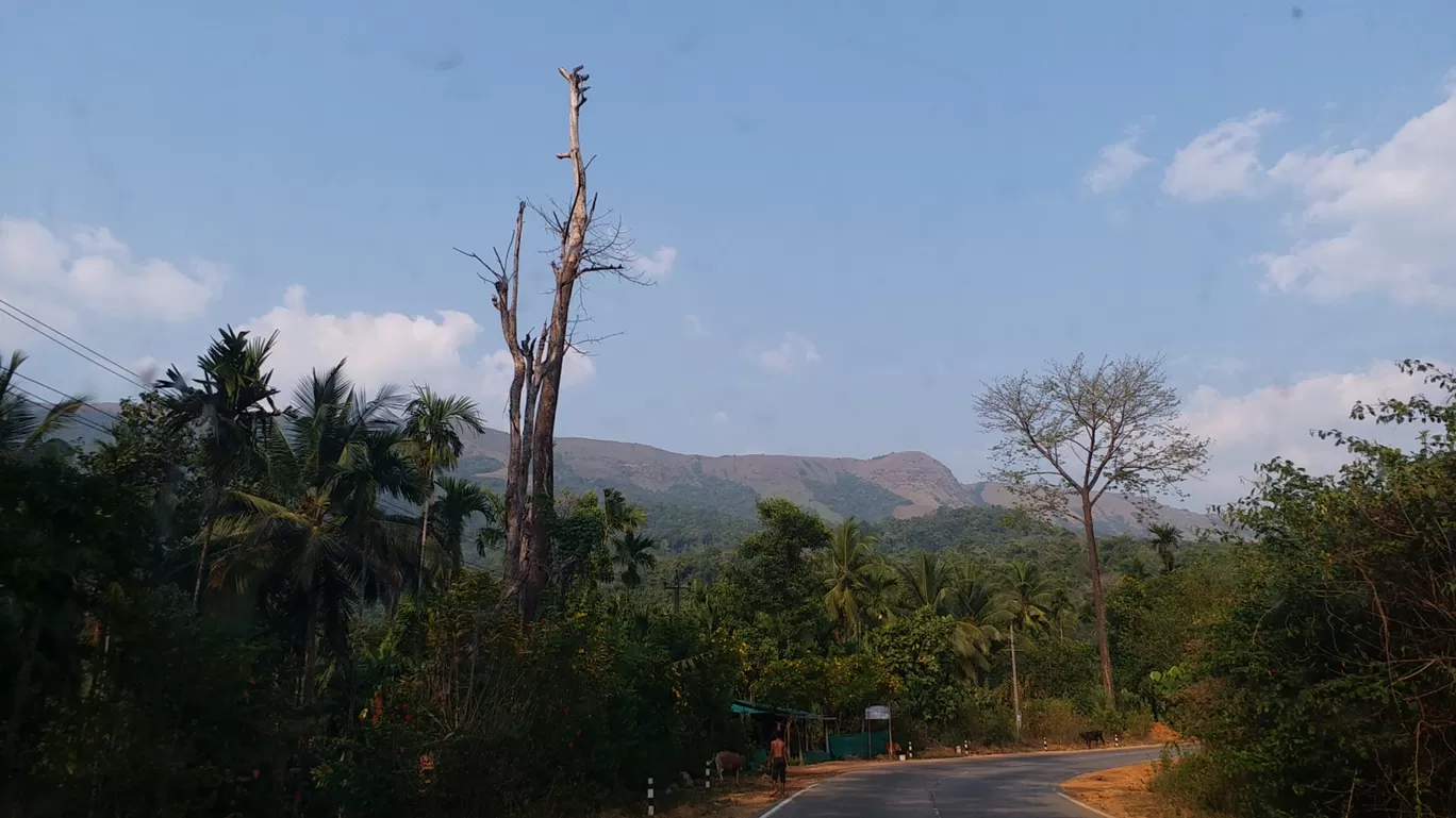 Photo of Sampaje By Rajbhagath